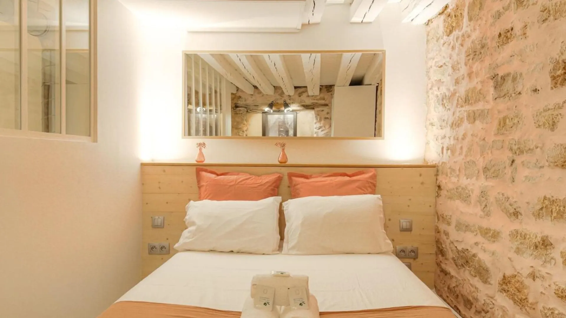 Duplex De Caractere En Hypercentre Apartment Lyon