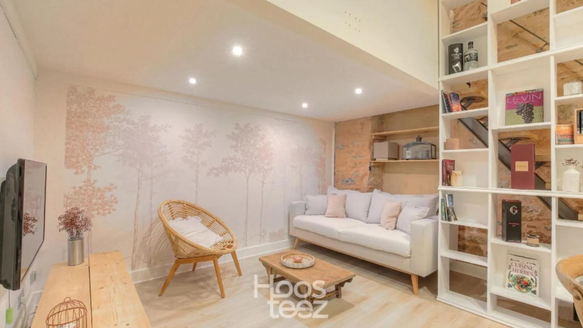 Appartamento Duplex De Caractere En Hypercentre Lione